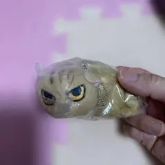 なつかない猫 ぬいぐるみ2 八百屋の猫マスコット ガチャガチャ