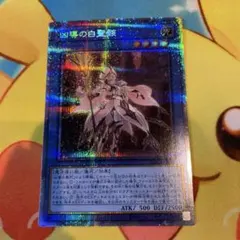 2026年最新】ドラグマ スリーブの人気アイテム - メルカリ