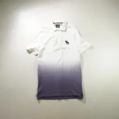 Abercrombie & Fitch グラデーション ポロシャツ /Z157