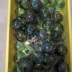 ガラス玉　浮き玉　50個　レトロ