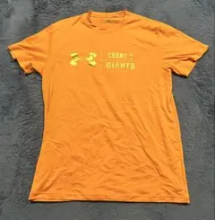 Item thumbnail for item 38f9ca7c-80b5-4d64-b15a-41c77e89babf