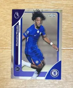 Item thumbnail for item 35bd0ba6-5f1a-45b9-bfd7-4e406401fa15