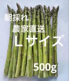 朝採れ　農家直送　アスパラ　アスパラガス　500gのサムネイル