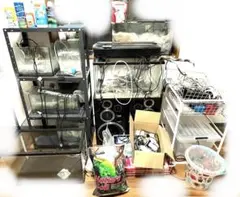 水槽 格安 ※引取限定※ 他掃除用具、濾過器写真同等一機