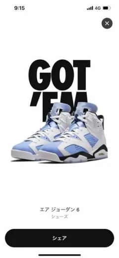 Nike Air Jordan 6 