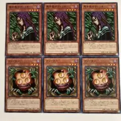 遊戯王　クリッター　黒き森のウィッチ　ノーマル