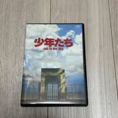 少年たち Jail in the sky DVD