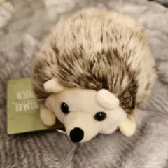 Item thumbnail for item 40d80447-0d7a-497b-ae1c-16d6c3c99463