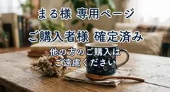 2026年最新】なみのりピカチュウVMAXの人気アイテム - メルカリ
