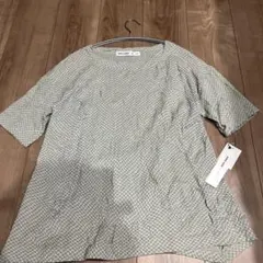 Item thumbnail for item 5283d313-fdd1-4471-856f-d45f4b70f562