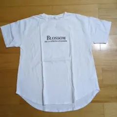 Item thumbnail for item eaa03930-3c7d-4b19-afd7-9d52dfb72301