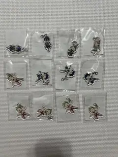 界の軌跡　くじ引き堂　アクリルチャーム 12点セット