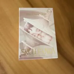 SKULLPANDA The Paradox