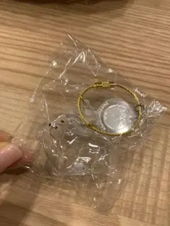 正規品　うちの子のけだまだま　犬のけだまだま　丸たれみみ