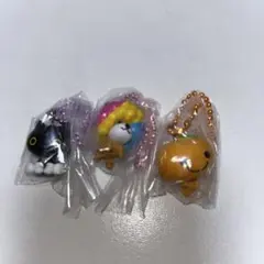 サンエックスユニバース　チャームつきグミ アフロ犬 みかんぼうや 靴下にゃんこ