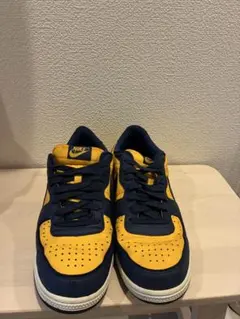 NIKE ターミネーター　ミシガン 27.5cm