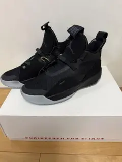 AIR JORDAN XXXIII PF 新品未使用　２７センチ