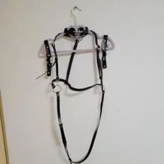 Item thumbnail for item eb370b08-f473-41d3-ad94-1a970dea903d