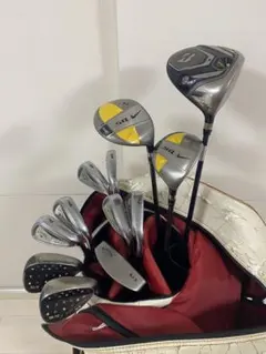 ジーコ様専用】beams golfキャディバッグ クラウンヘッドカバー付き