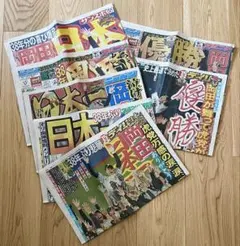 2023年 阪神タイガース 優勝記念新聞セットのサムネイル