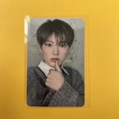 treasure pleasure コレクトブック　トレカ　ジュンギュ