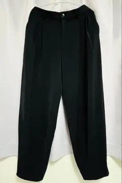 HARE トロミ テーパードスラックス M