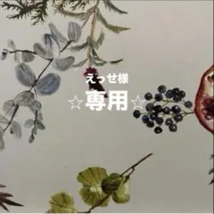 えっせ様　専用です