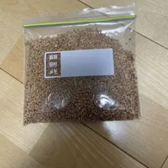 ハムスターくるみサンド　床材・トイレ砂200g