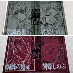 鬼滅の刃 ランダムチェキ風ブロマイドC 冨岡義勇 胡蝶しのぶ 未開封