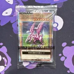 遊戯王 ホーリー・ナイト・ドラゴン 初回生産限定特典カード 未開封
