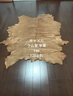 Item thumbnail for item cfd3bcb6-cbe0-40d1-ac52-50cc1d923de6