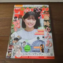 Item thumbnail for item ec5f0c18-c976-481f-8855-272db7c9c1e3