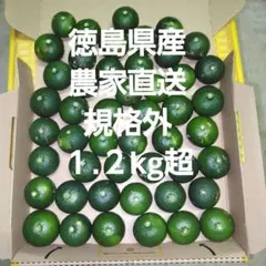 ハウススダチ 家庭用 4キロ 入札式 - メルカリ