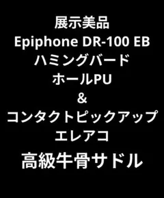 상태좋음 Epiphone DR-100 EB 해밍버드 PU 부착 엘레아코