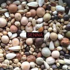 穀類④80ｇ　小動物の餌・おやつ※いいねしないでくださいのサムネイル