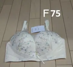 みーみー 3265評価セール プロフ必読様 リクエスト 2点 まとめ商品