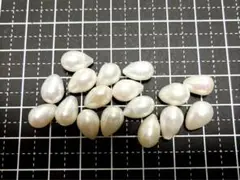 北海道産 ホタテ貝 スキャロップ真珠 天然パール 約4mm - メルカリ