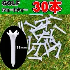 Item thumbnail for item 4ead6a4a-a550-4fc8-a6de-bc501cdae2e3