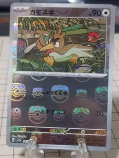 カモネギ　マスボ