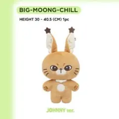 2025年最新】nct127 ジャニ ぬいぐるみの人気アイテム - メルカリ