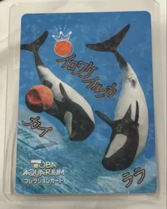 2026年最新】鳥羽水族の人気アイテム - メルカリ
