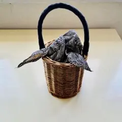 Item thumbnail for item 9efbe93f-efc2-409a-85cf-74186b4b25af