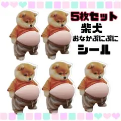 新品未開封品 柴犬　お腹　おなか　ぷにぷに シール スティッカー　5個セット