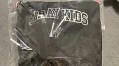 STRAY KIDS スキズ　エコパ　アプグレグッズ dominoATE静岡