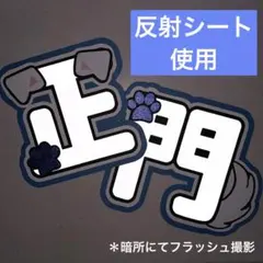 正門良規 反射シート うちわ文字 文字パネル 2連