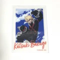 cano様 リクエスト 3点 まとめ商品