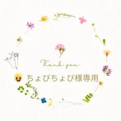 ちょびちょび様専用ページ