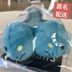 ジェットサム フロットサム