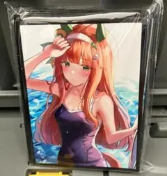 ウマ娘　サンパン サイレンススズカ スリーブ　水着のサムネイル