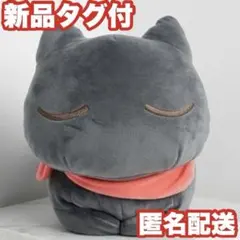 日常 ましゅもっち おおもり 坂本さん ぬいぐるみ】GiGO限定 - メルカリ